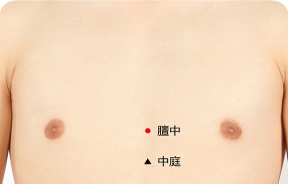 膻中穴