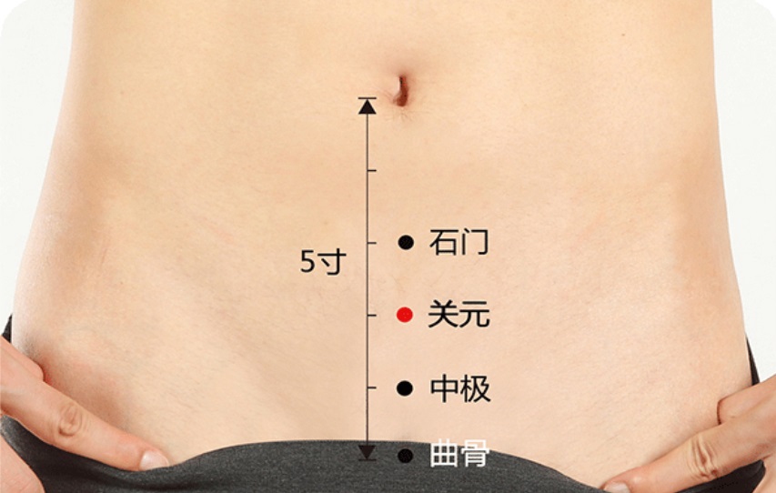 关元穴
