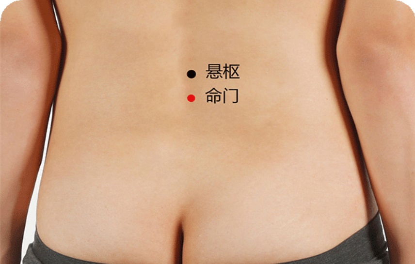 命门穴