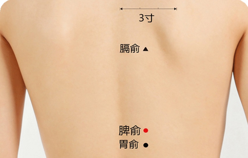 脾俞穴