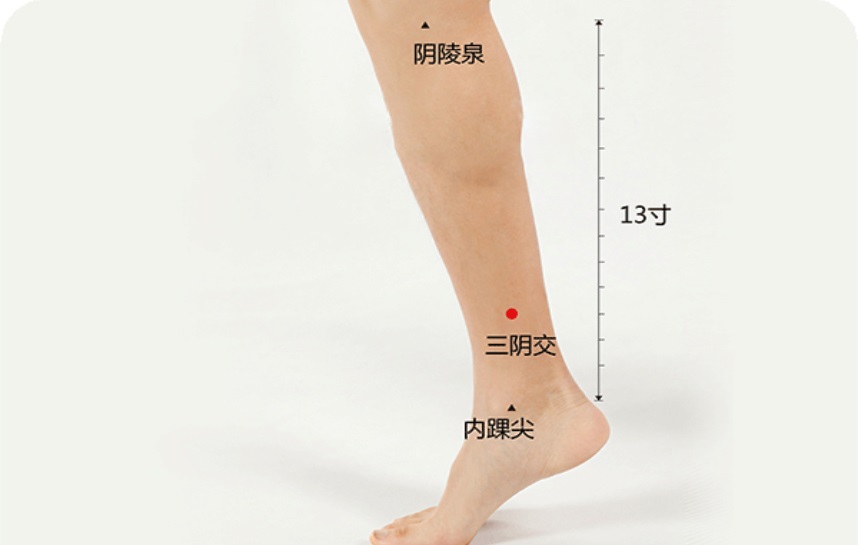 三阴交