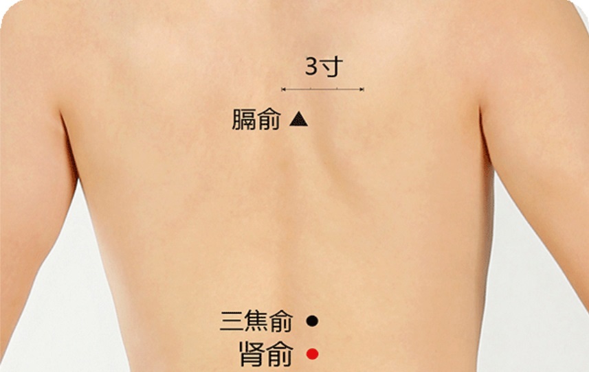肾俞穴