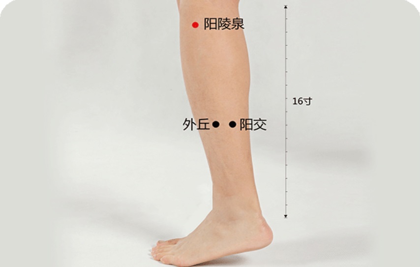 阳陵泉穴