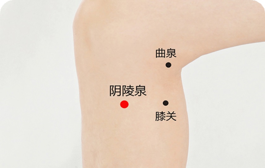 阴陵泉穴