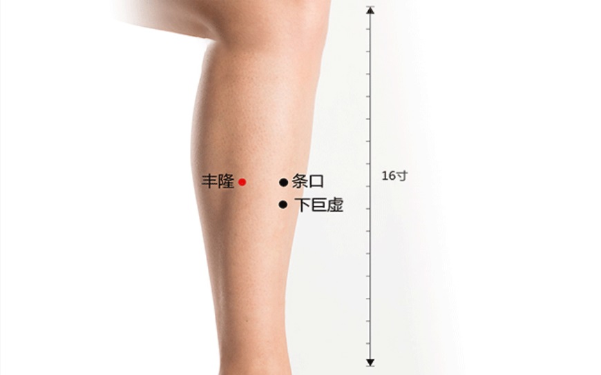 丰隆穴
