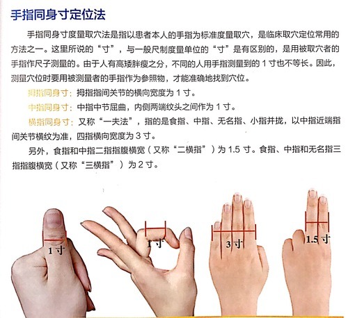 取穴图2