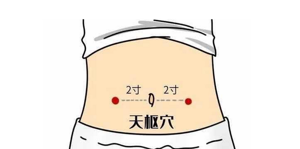 天枢穴
