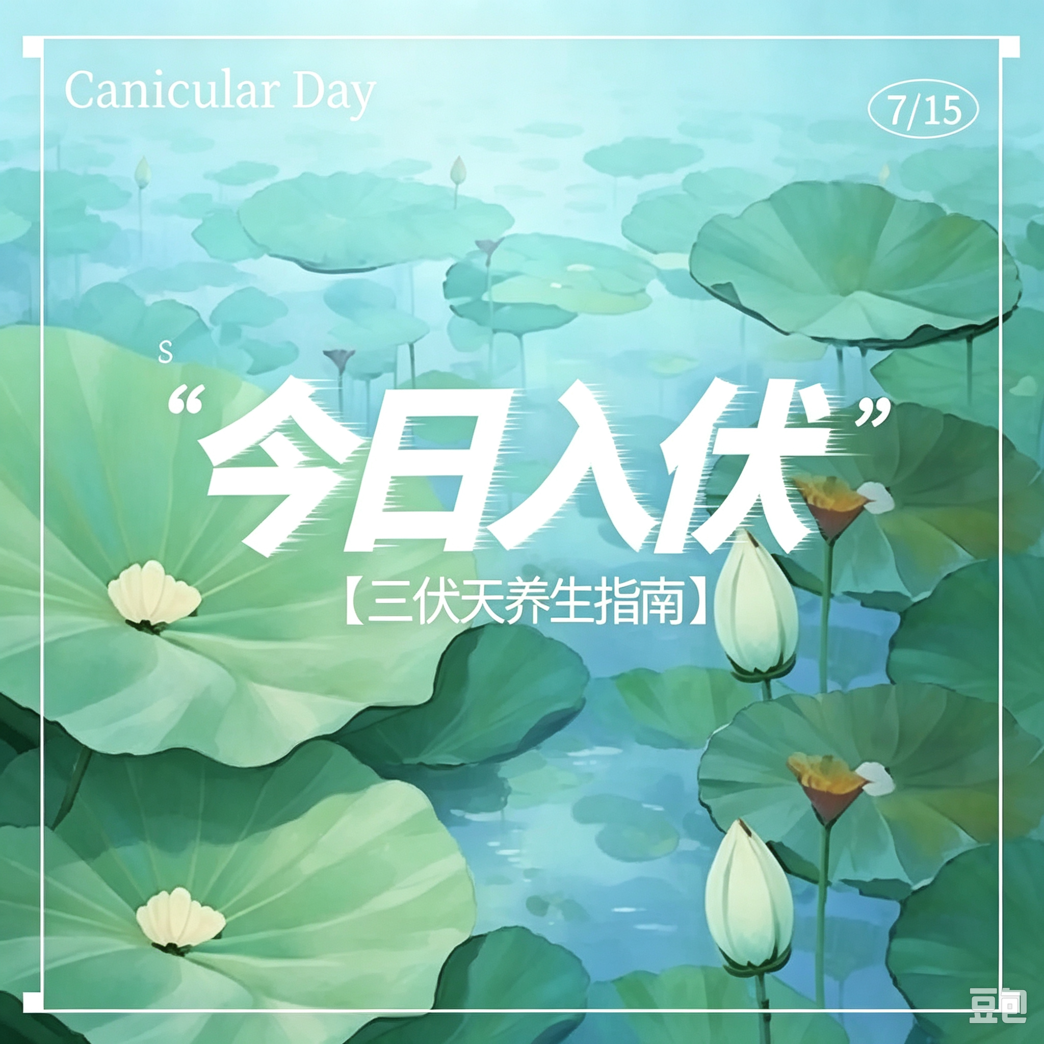 三伏调理文章