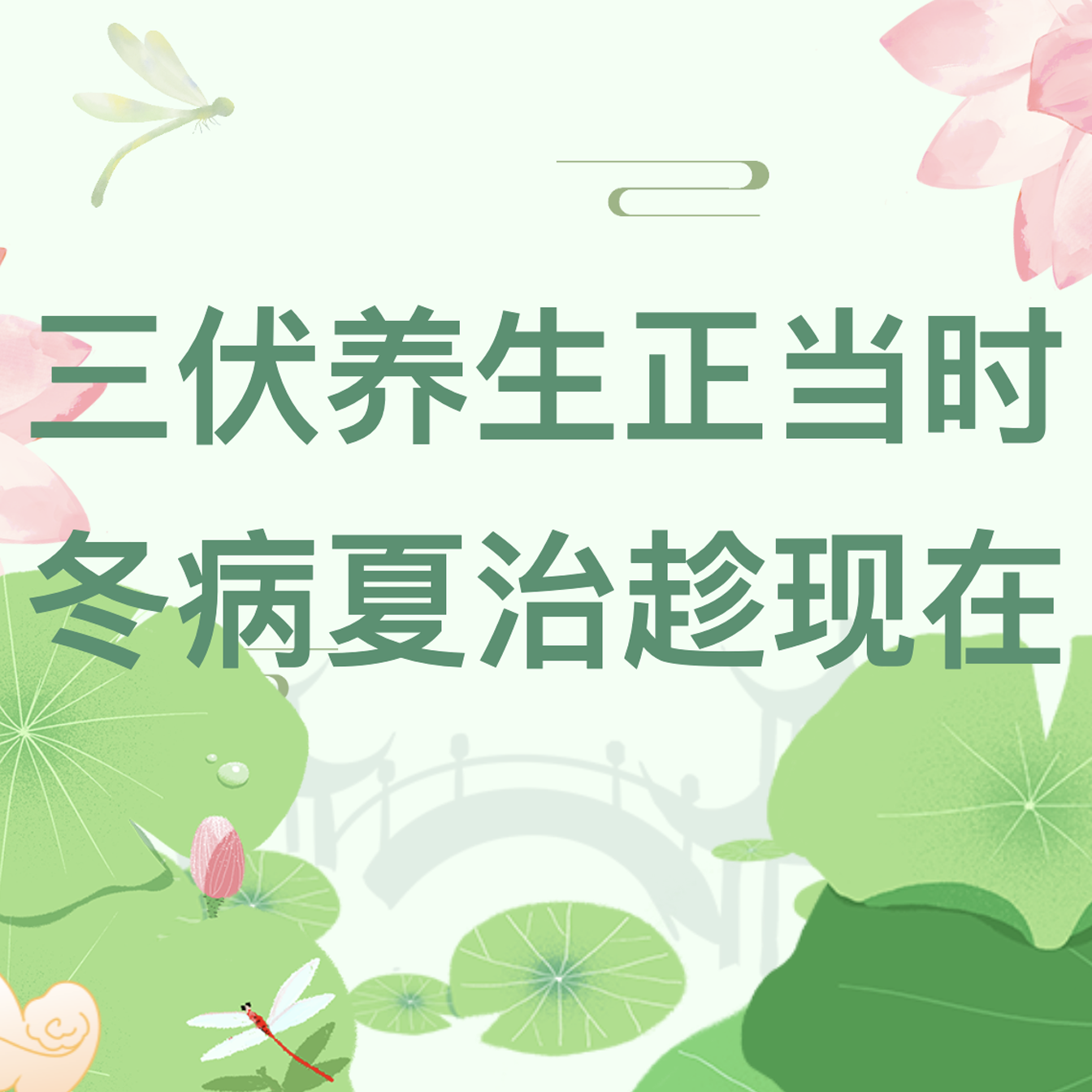 三伏调理文章